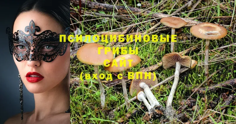 Псилоцибиновые грибы MAGIC MUSHROOMS  Армавир 